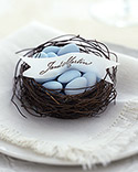 Bird's Nest Favors