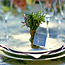 Place-Card Favor