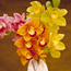 Bright and Bold Bouquet