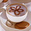 Chocolate Blossom