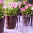 Etched Flowerpot