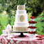 Springerle Cake