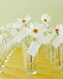 Seating Card Displays