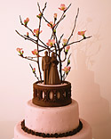 Quince and Chocolate