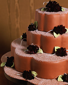 Chocolate Cosmos