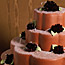 Chocolate Cosmos