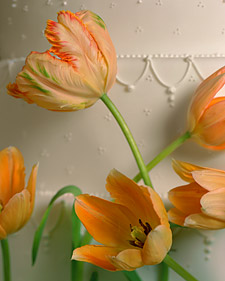Fresh Flower Cakes and Bouquets