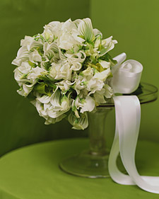 Sweet Peas and Orchids