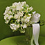 Sweet Peas and Orchids