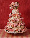 Colorful Cakes