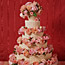 Colorful Cakes
