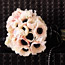 Black Tie Bouquets: Anemones