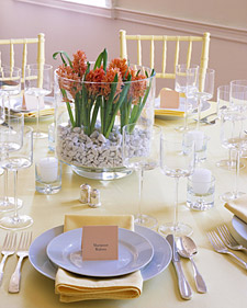 Hyacinth Bulb Centerpiece