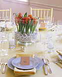 Hyacinth Bulb Centerpiece