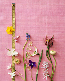 Bouquets With Tiny Flowers