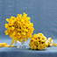 Bouquets With Tiny Flowers: Vivid Yellow Mixes