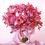 Shades of Pink