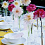 Parade of Blooms