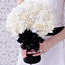 Choosing Your Bouquet