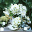 Wedding Party Flowers