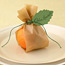 Clementine Place Cards