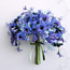 Darling Delphiniums