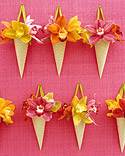 Fresh Flowers 