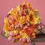 Bountiful Beauty