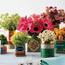 Tea-Tin Centerpiece