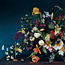 Still-Life Arrangement