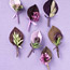 Lilac and Brown: Fall Boutonnieres