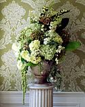 Hydrangeas