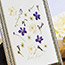 Pressed Bouquet