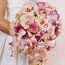 Cascading Orchids
