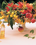 Fruit Decor and Favors