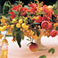 Floral Centerpieces