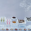 Ski Resort Wedding