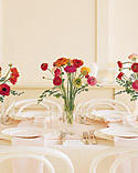 The Lush Beauty of Ranunculus
