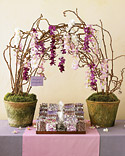 Favor Display Ideas