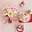 Pink Ranunculus