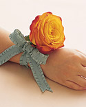 Wrist Watch