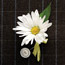 Two-Button Pin
