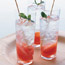 Grapefruit Mojito