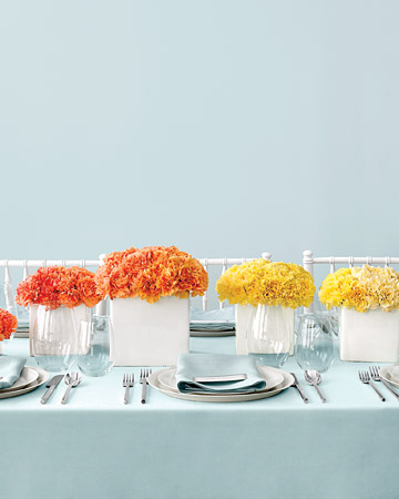 mwd103982 fal08 carnations xl jpg