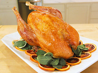  Chef Culinary Games Full Episodes on The Martha Stewart Show   All New   Hallmark Channel