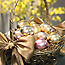 Gilding Eggs