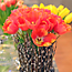 Tulip Arrangements