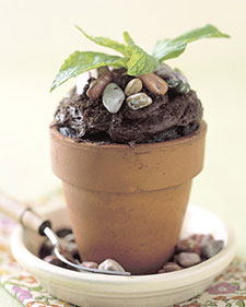 Flowerpot Cakes