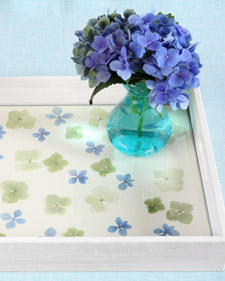Hydrangea Tray