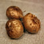 Forcing Bulbs